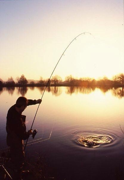 Frank Warwick - 52816510200768860093073361126435n.jpg